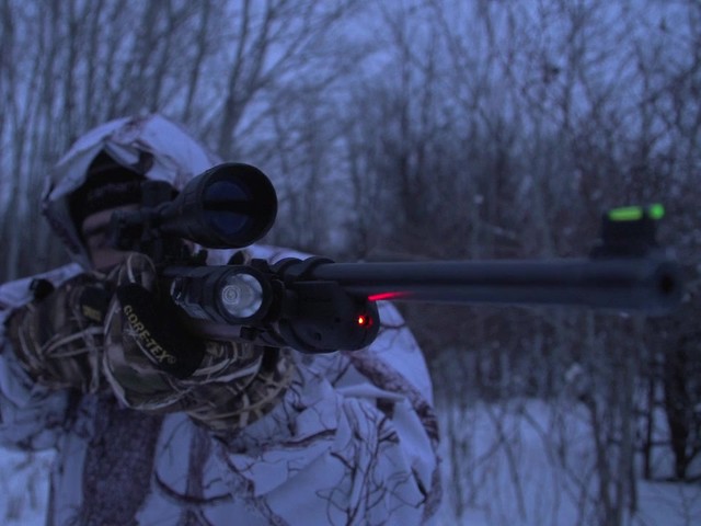 RUGER 10/22 LASER SIGHT        - image 1 from the video